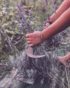 Un Pezzo Di Sogno Che Si Realizza
